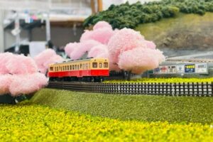 桜並木と菜の花畑の中を走る｢小湊鉄道｣