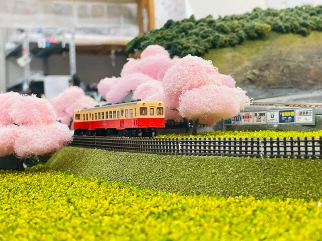 桜並木と菜の花畑の中を走る｢小湊鉄道｣