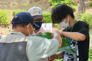 活動の様子