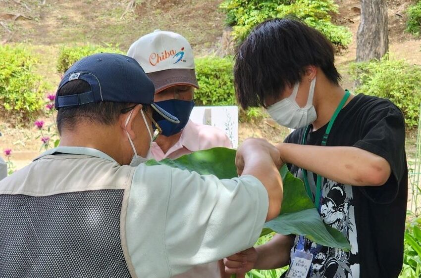 活動の様子