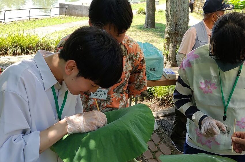 活動の様子