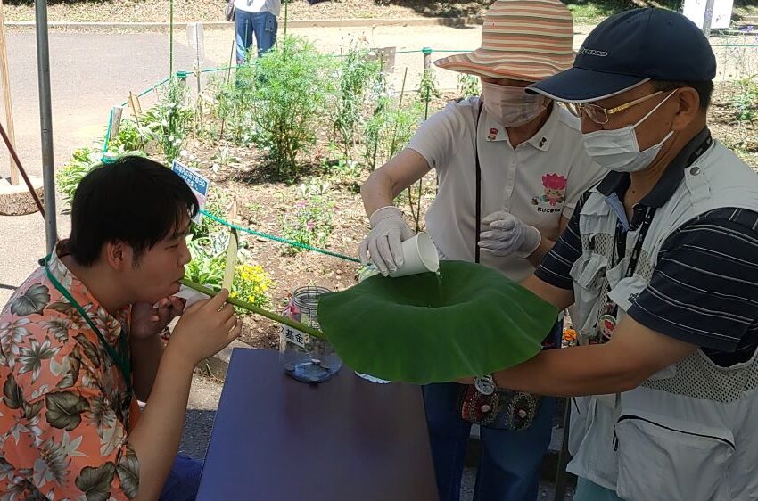 活動の様子