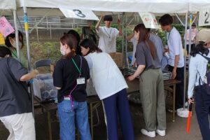 活動の様子