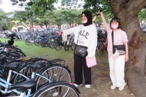 活動の様子